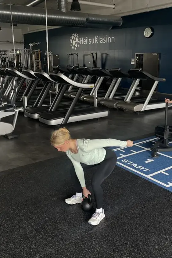 Sleða Mynd (Nýja Heimasíða)